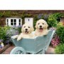 Ravensburger - Puzzle pentru varstnici Golden Retriever cu sablon de imagine si suport din carton 200 piese mari XL Ravensburger